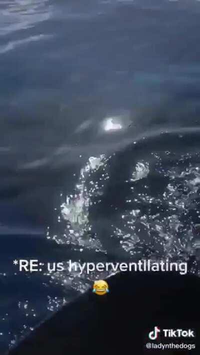 My anxiety would have made me flip over and drown