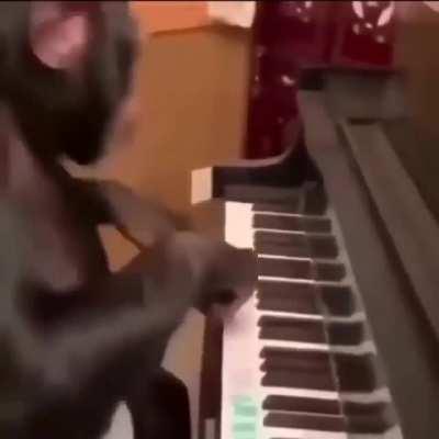 Chopin E. Tude F Major - 28th Sympohny