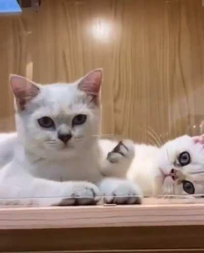 Nothing to see here!