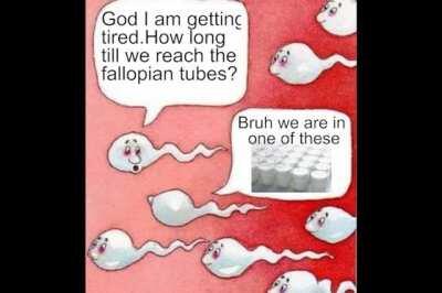 When I was younger I thought Wbc and sperms are different but now I know they're same