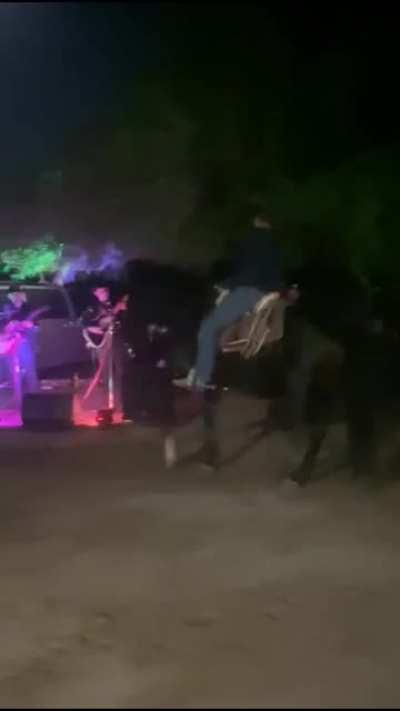 A horse dancing to some tunes.