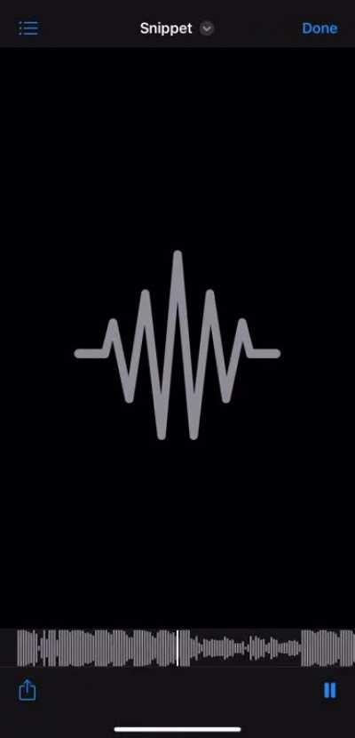 Who got da full song?