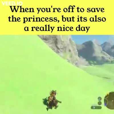 Psyching myself up for Flower Blight Ganon