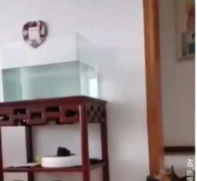 If I fits I... oh shit