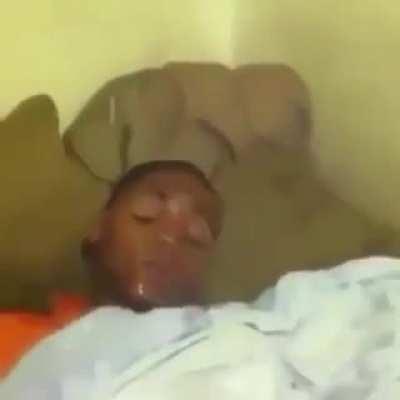 When the dawn chorus 