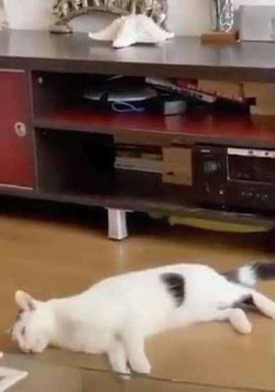 These rats are not letting me sleep here either.