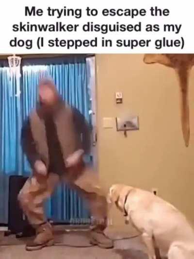 It is taunting my futile attempts