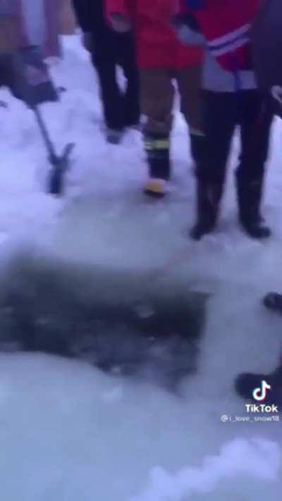 Dives in to find his dropped phone