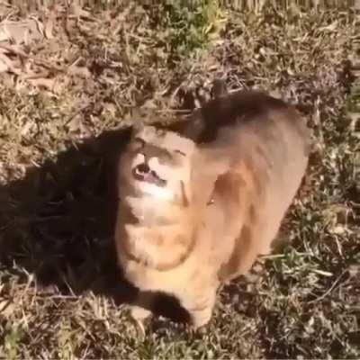 When everything blooms allergic people are like