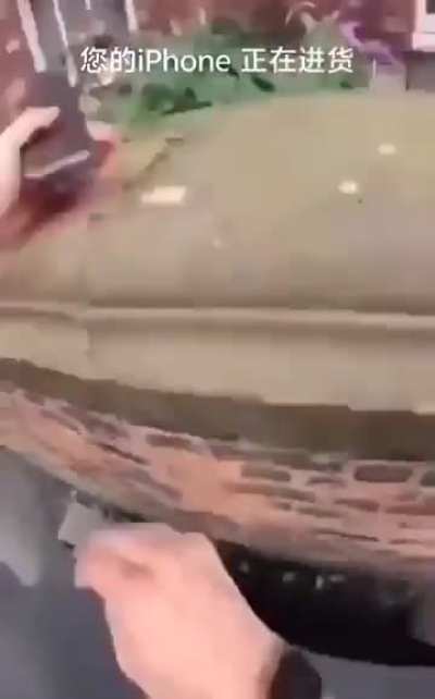 Se nao quer trabalhar faca isso