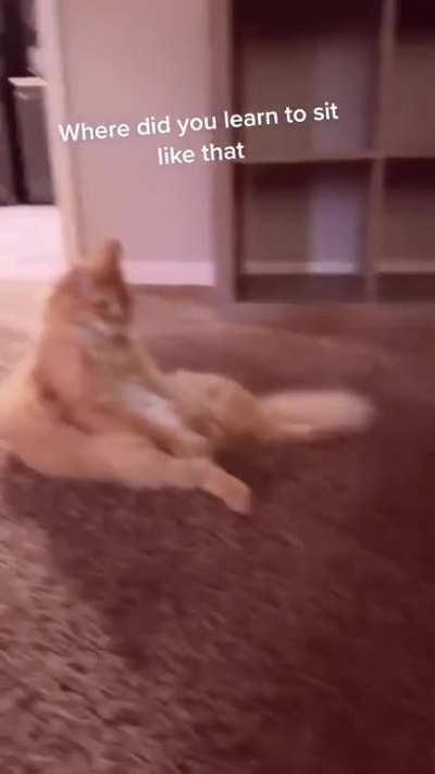 Learning from expert