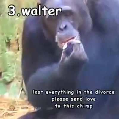 Mucho apoyo para mí pana Walter que está pasando momentos difíciles 😔💪🏼