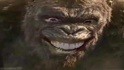 I keep seeing this on tiktok 🤣🤣🤣 someone edited goji center's video (link in comments)