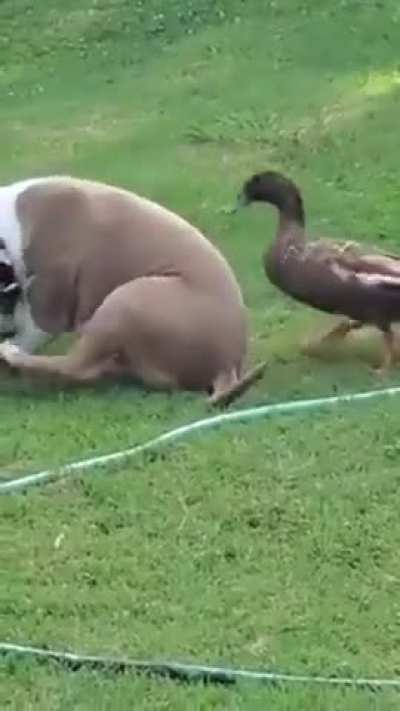 Max And Fred Friendship