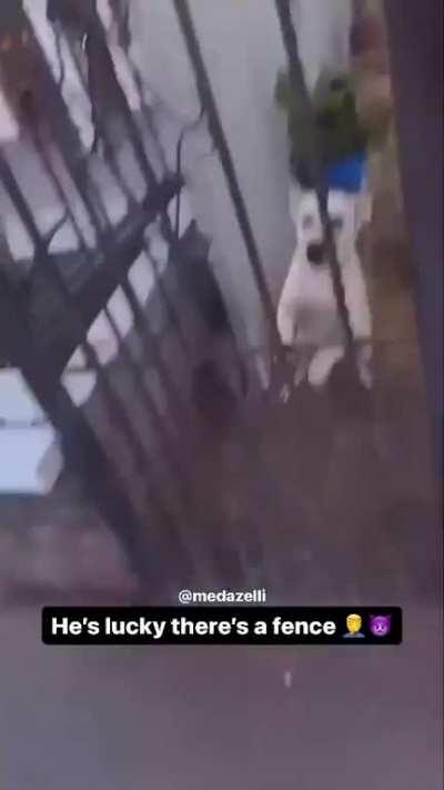 Ainda bem que tinha uma grade