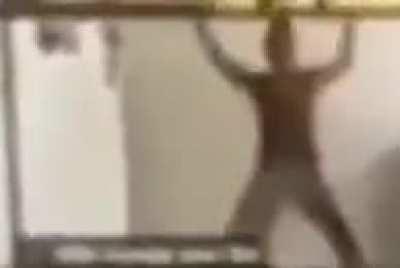 Pooman sighting hd 6p