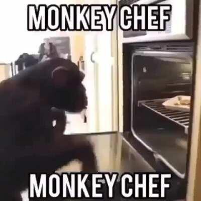 Monkey chef