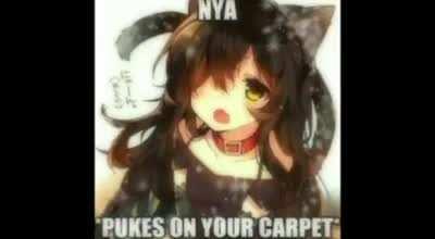 is there no more to life than this?