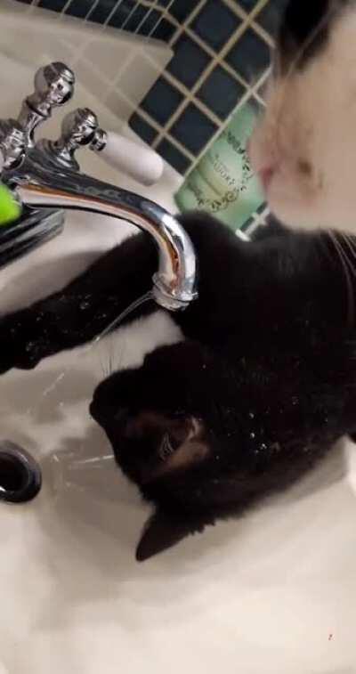 Hasn't quite figured it out yet..