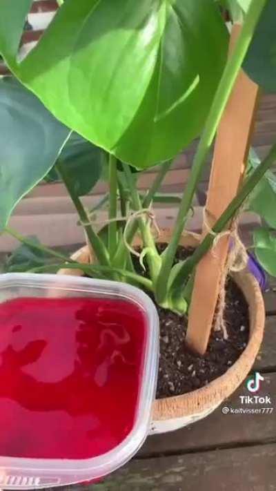 How to use your.. what.. to what?