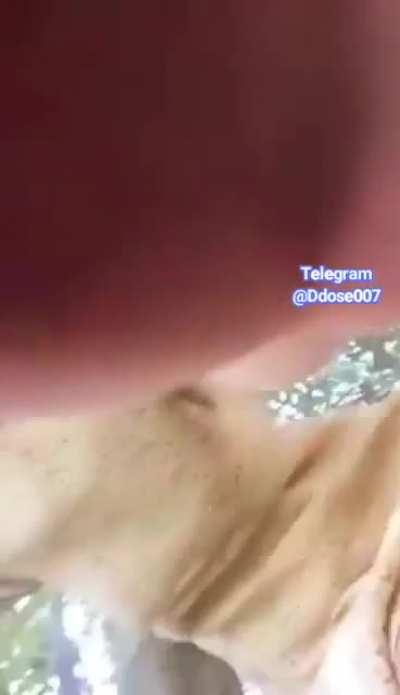 🔥🥰 Extremely Cute GF Recording Outdoor Showing her Pussy & Ass for her Long Distance Boyfriend 🥰🔥