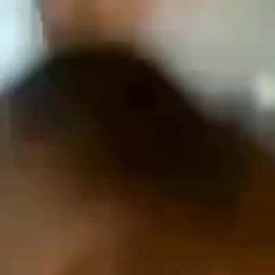 Can’t tell if stupid or funny