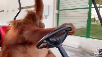 This is probably the best video I’ve ever seen on the internet