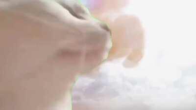 Its Attack on Titan Sunday