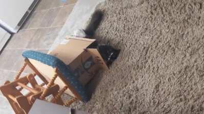 A true captain goes down with his ship