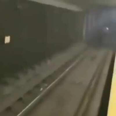 Subway Surfers in real-life