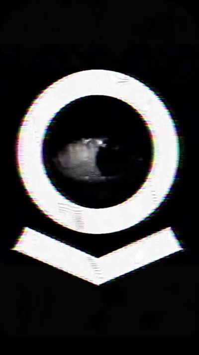 By 2064, Palantir has amassed 2.8 Yottabytes of data. This is stored in the Panopticon, a city-sized data center in northern Greenland, powered by its own nuclear reactor.