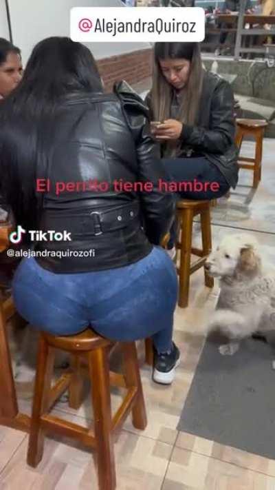 Se ve bien hambriento..🐶🌭🐶