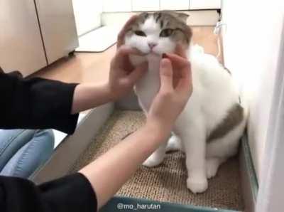 A bit rough, but she means well.