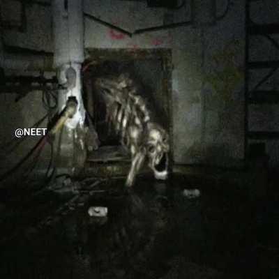 Super Idol but on different world