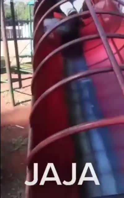 Revive your inner child and win a stupid prize