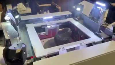 Avocados🥑 from Mexico🇲🇽