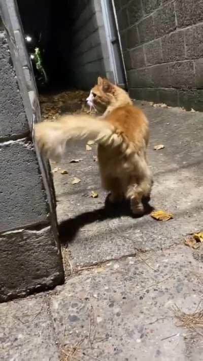 Looks like someone's being watched