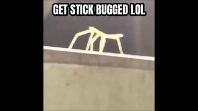 A tribute to an underappreciated card in 2020. (Video w/ sound)