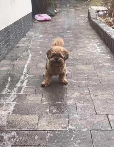 404 Traction Control Not Found