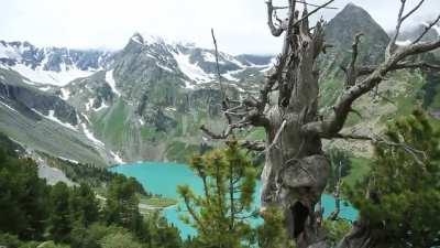 Камчатка далеко! На Камчатке тигры и медведи! Хочу на Камчатку. Хоть ненадолго.