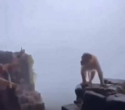 Elm animado por la comunidad recibiendo tts y escucha; racistadas, antiwoke,... xddd