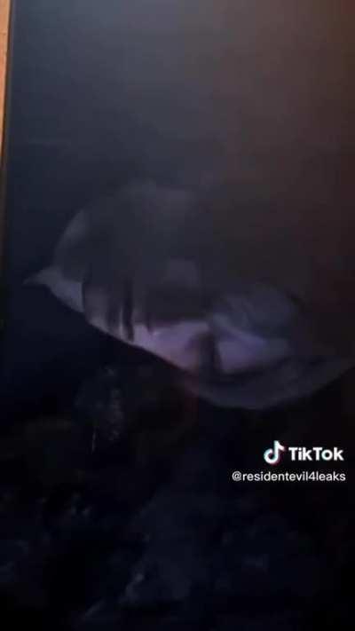 Resident evil 4 remaker krauser kill luis.