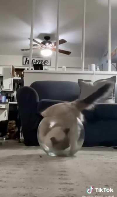 Catculating volume of bowl and his/her flexibility:)