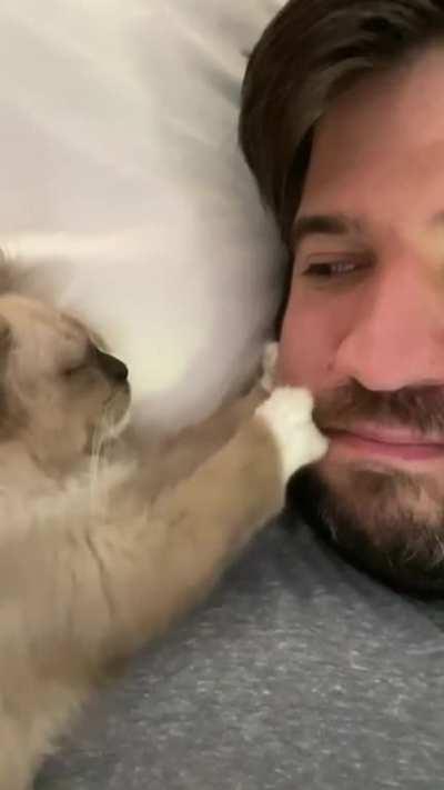 Day two of my new cat - Miso.