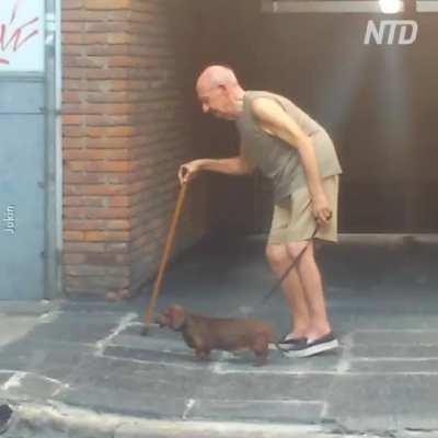 This dog shows his love for his owner through loyalty and patience.😢😍