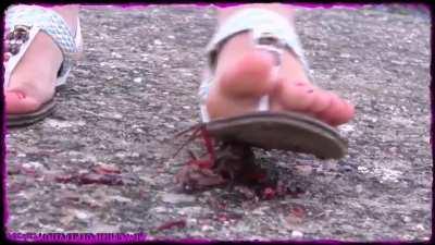 Flat sandals crawfish 