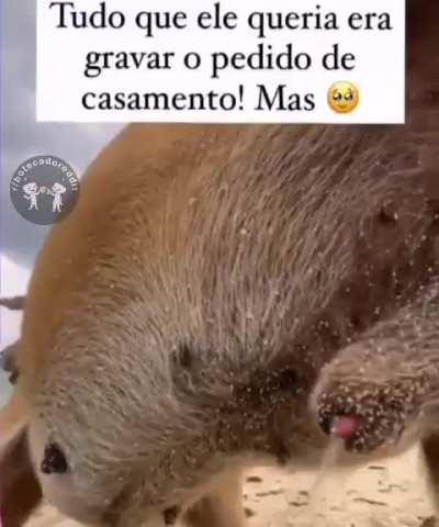 Que lindo ❤️❤️❤️