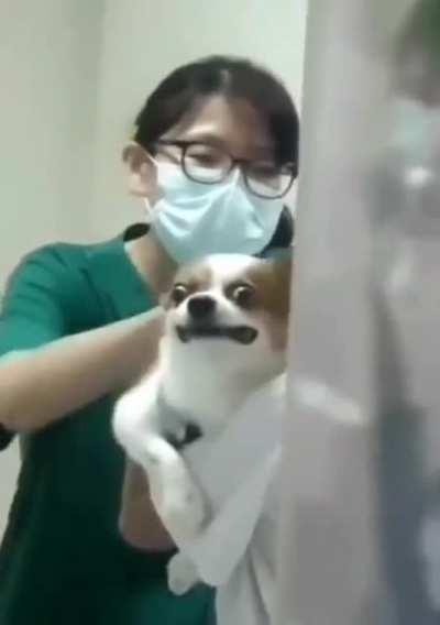 Oh no this is going to hurt...