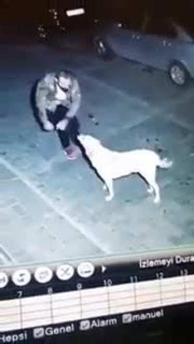 Drunk man dances with a stray dog