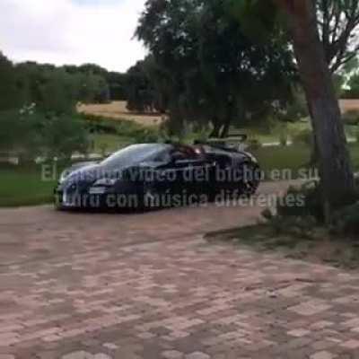 No es mío pero está bueno xd